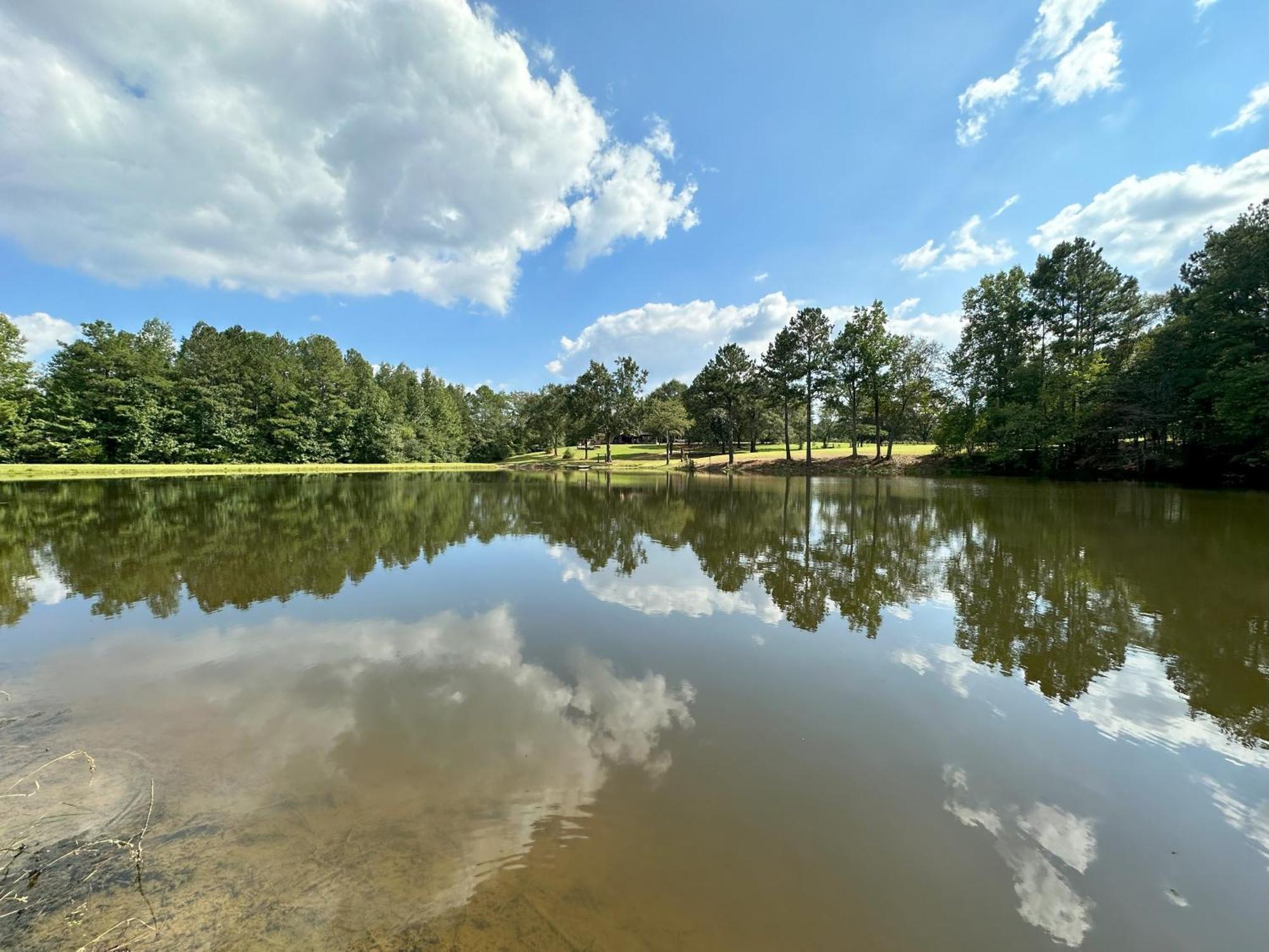 Refuge Ranch Retreat Log Cabin Lake 53+ Acres Locust Grove Eksteriør billede